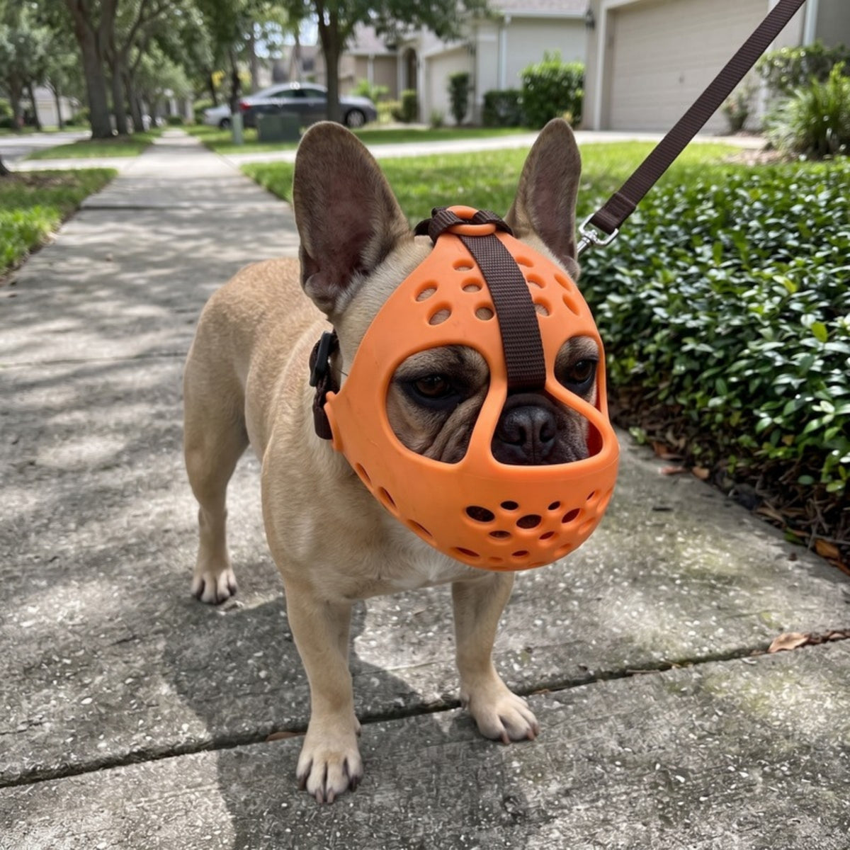 Woofidoo Soft Rubber Bulldog Muzzle