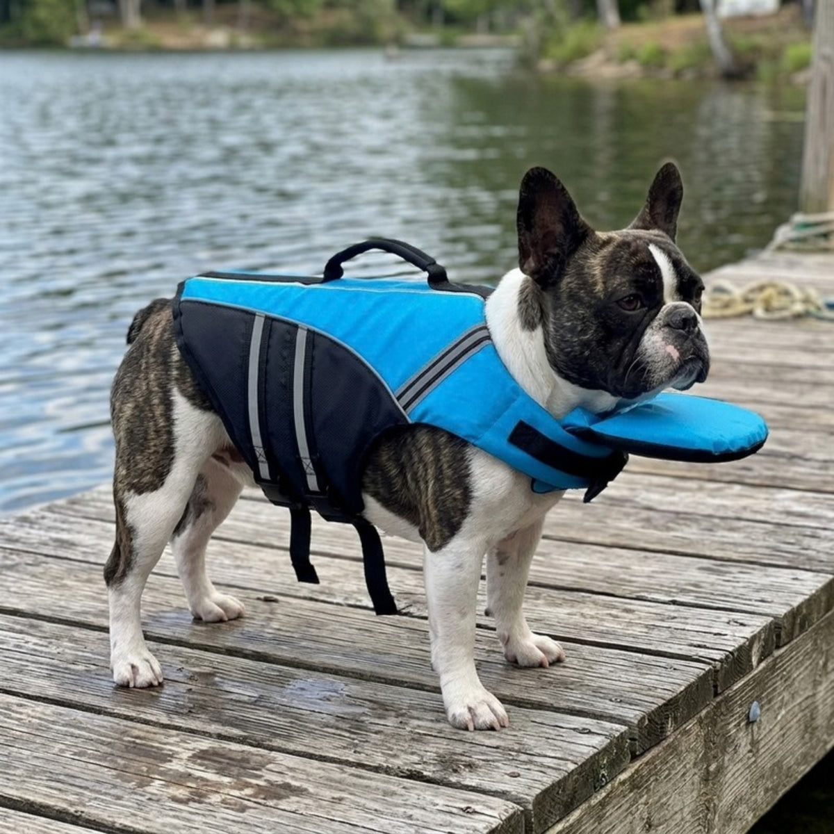 Woofidoo Dog Life Jacket