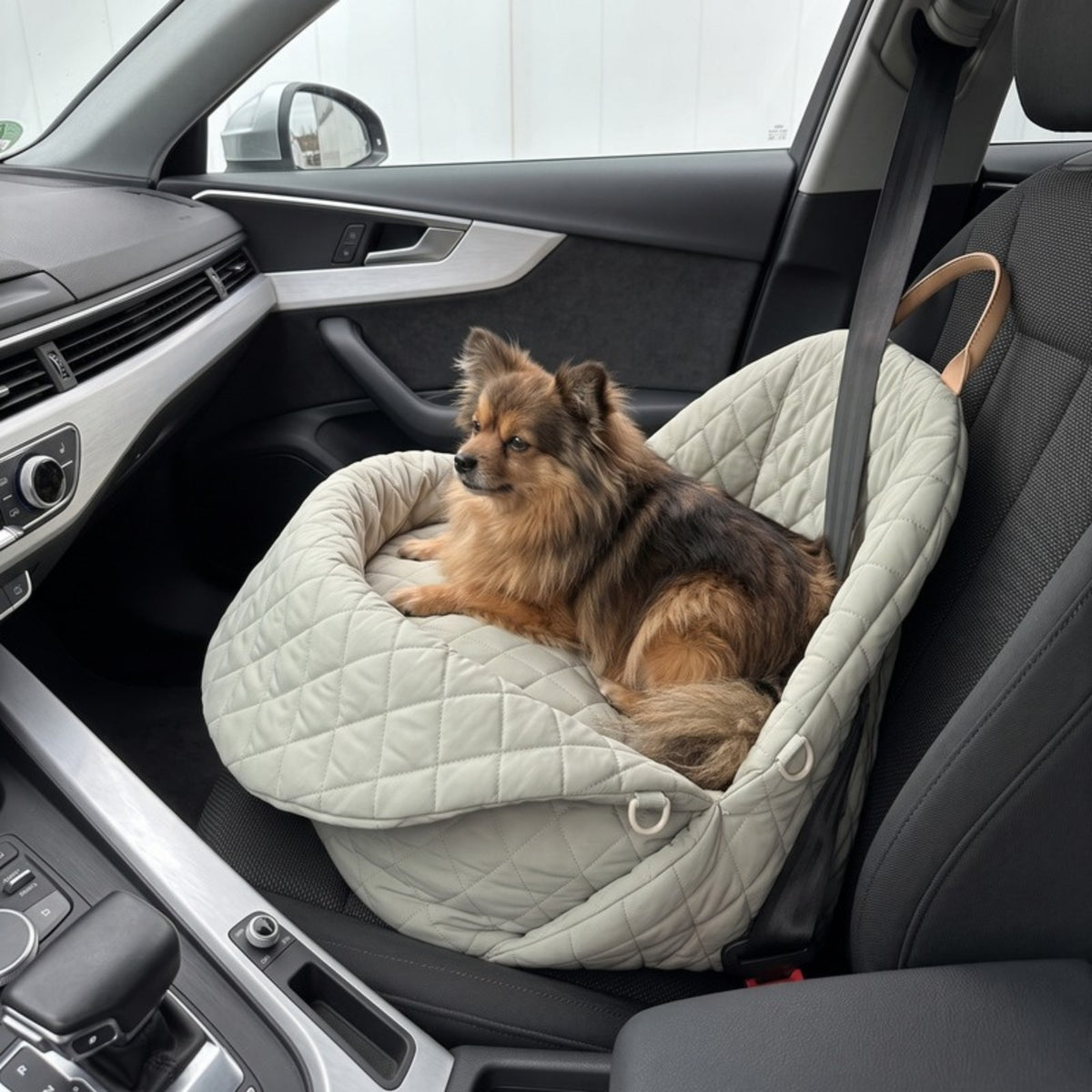 Woofidoo Quilted Pet Carrier Bag