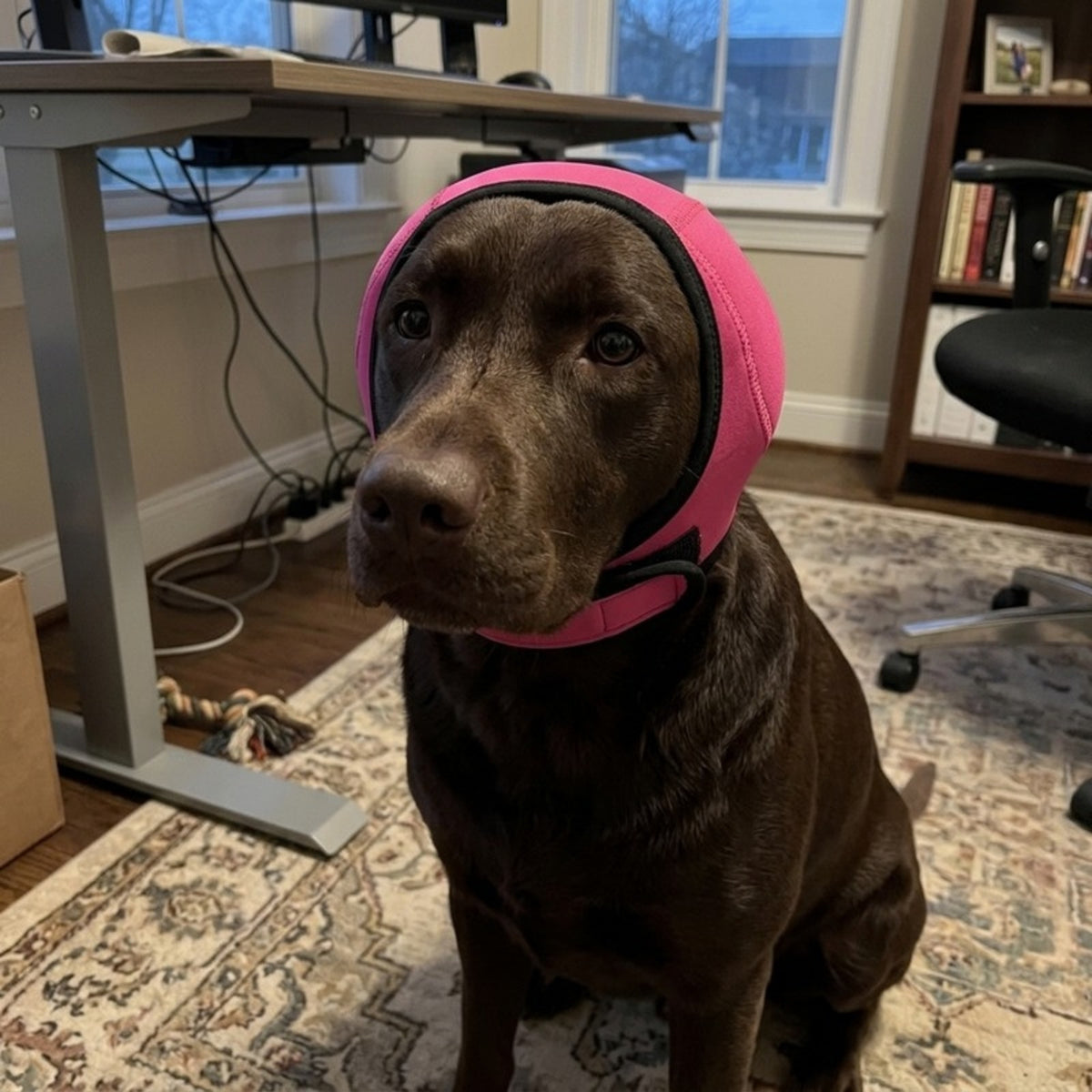 Woofidoo Dog Calming Noise Hood