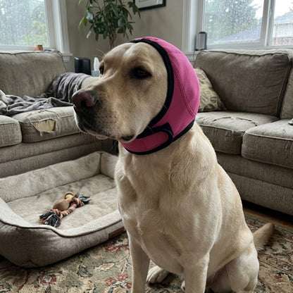 Woofidoo Dog Calming Noise Hood