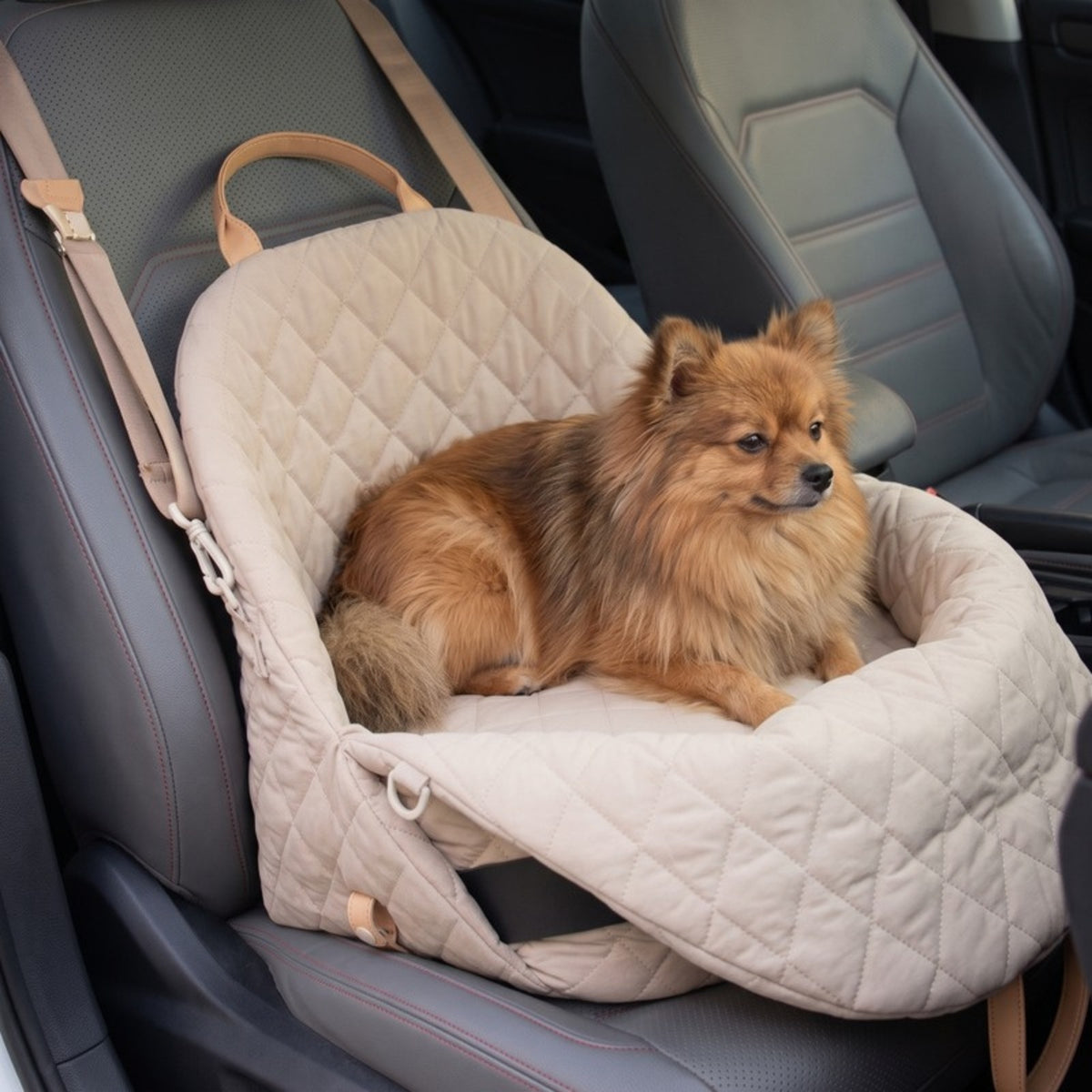 Woofidoo Quilted Pet Carrier Bag