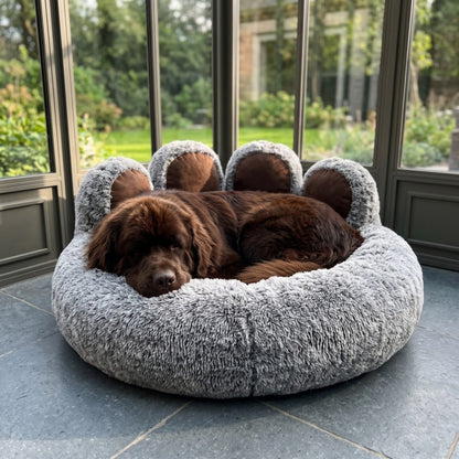 Woofidoo Paw Dog Bed