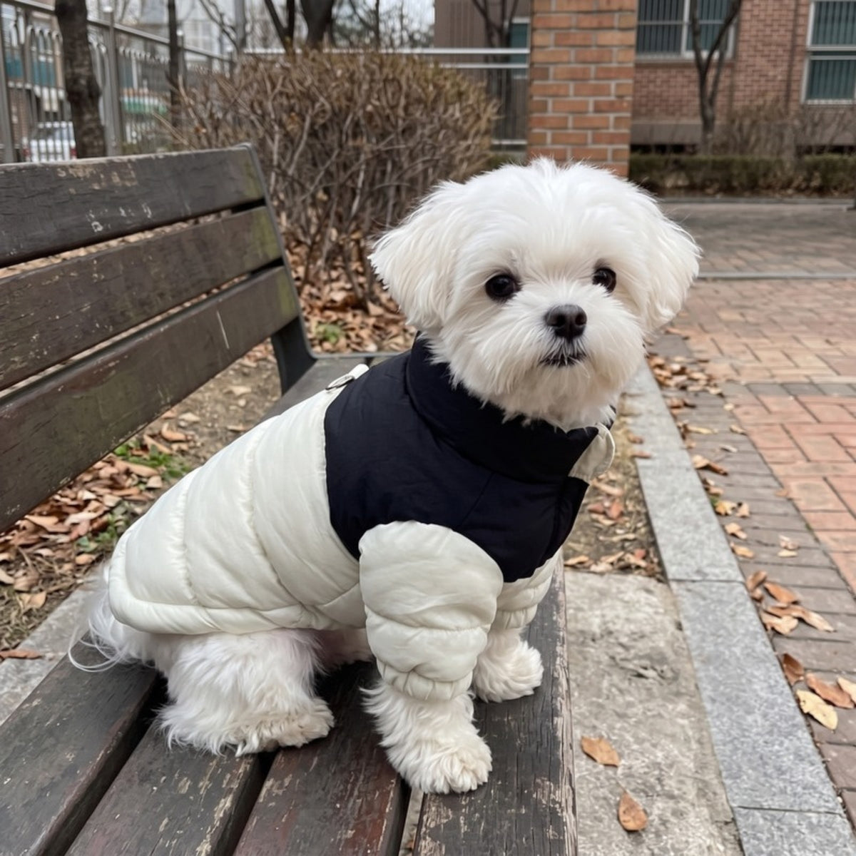 Woofidoo Snuggle Small Dog Coat