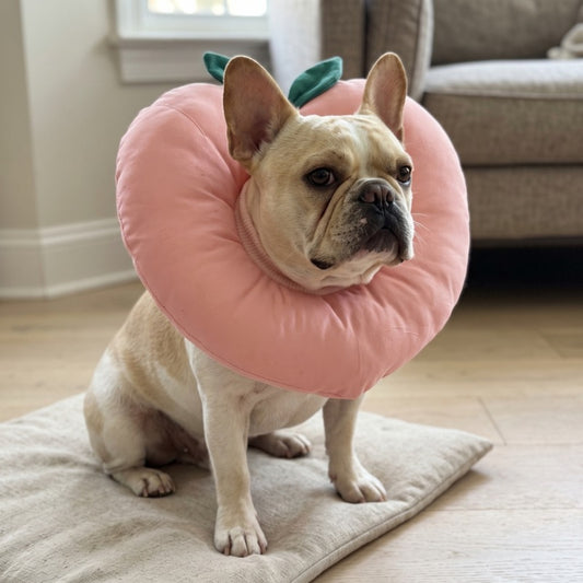 Woofidoo Fruit Soft Cat Cone