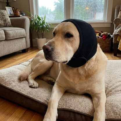 Woofidoo Dog Calming Noise Hood