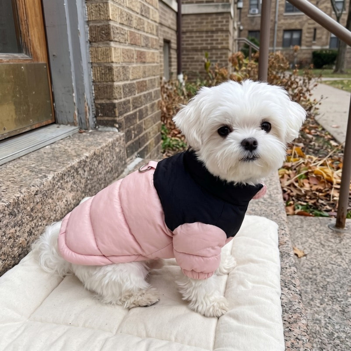 Woofidoo Snuggle Small Dog Coat