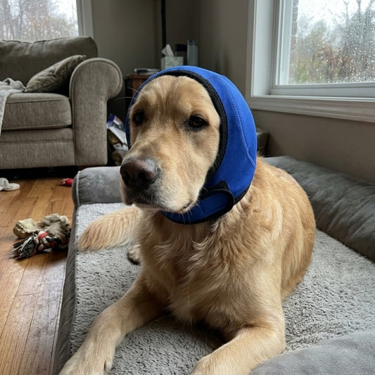 Woofidoo Dog Calming Noise Hood