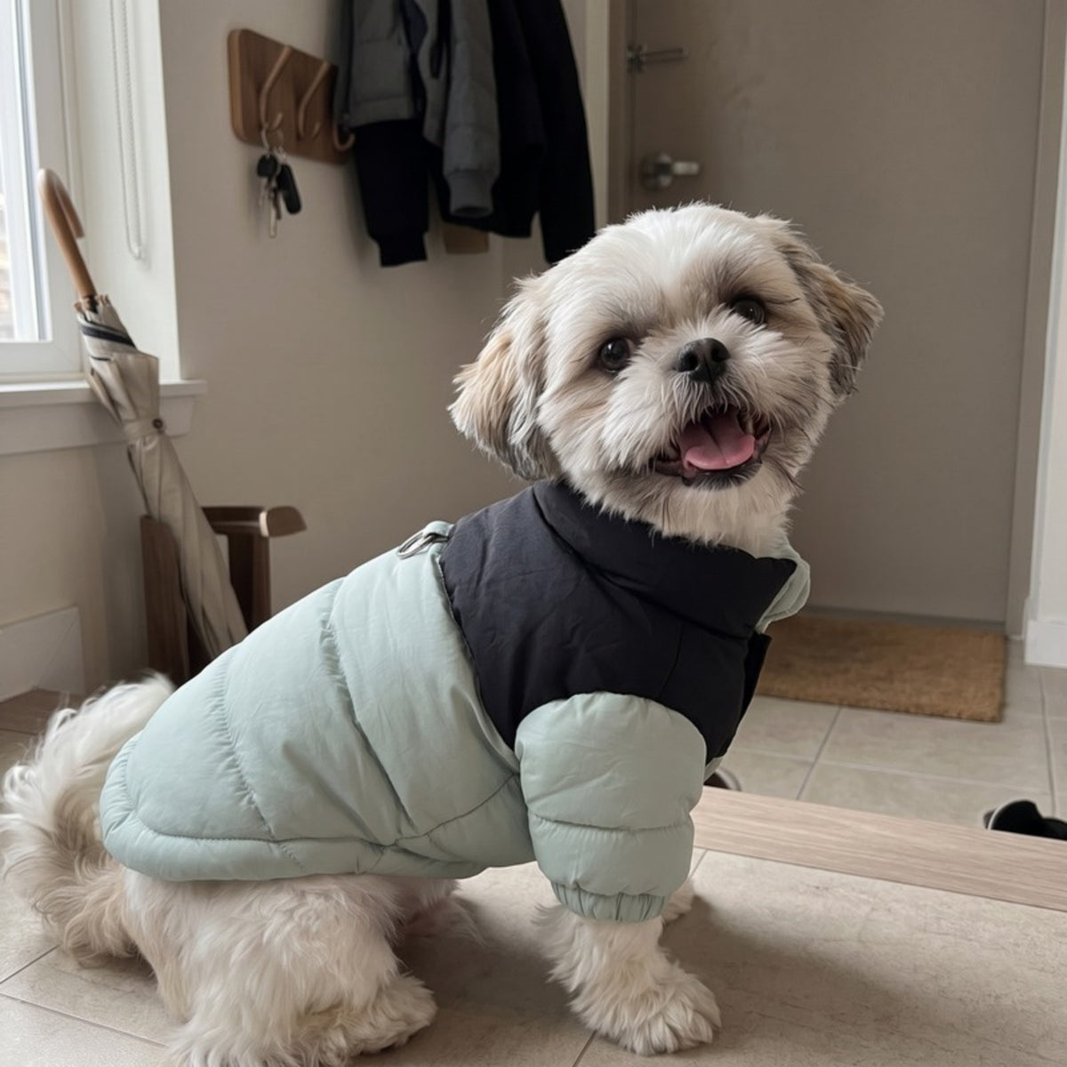 Woofidoo Snuggle Small Dog Coat