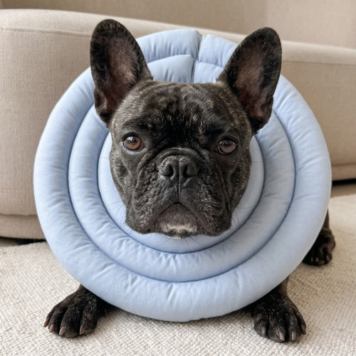 Woofidoo Soft Recovery Cone for Dogs