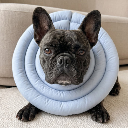 Woofidoo Soft Recovery Cone for Dogs