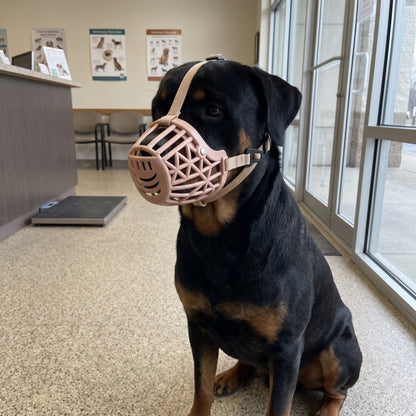 Woofidoo Guardian Basket Dog Muzzle