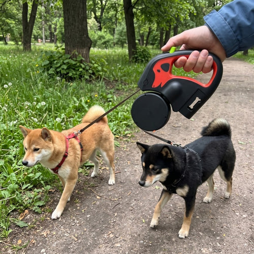 Woofidoo Retractable Leash for Two Dogs