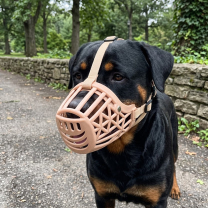 Woofidoo Guardian Basket Dog Muzzle