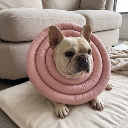 Woofidoo Soft Recovery Cone for Dogs