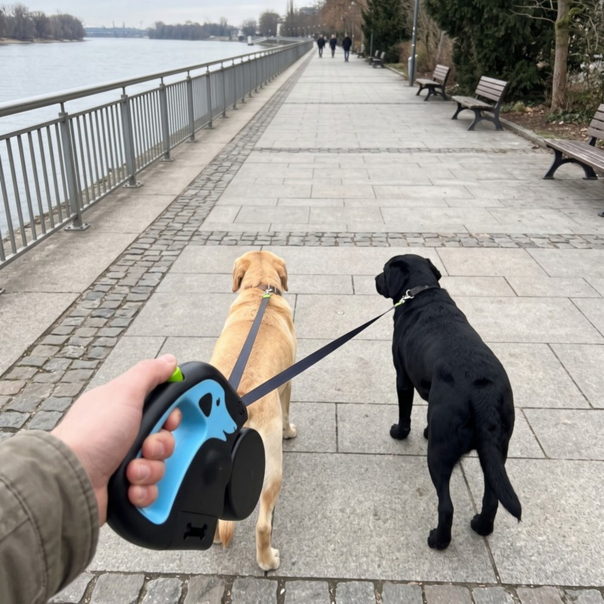 Woofidoo Retractable Leash for Two Dogs