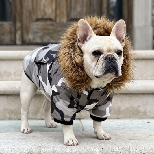 Woofidoo Dog Winter Jacket