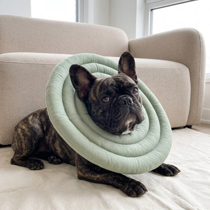 Woofidoo Soft Recovery Cone for Dogs