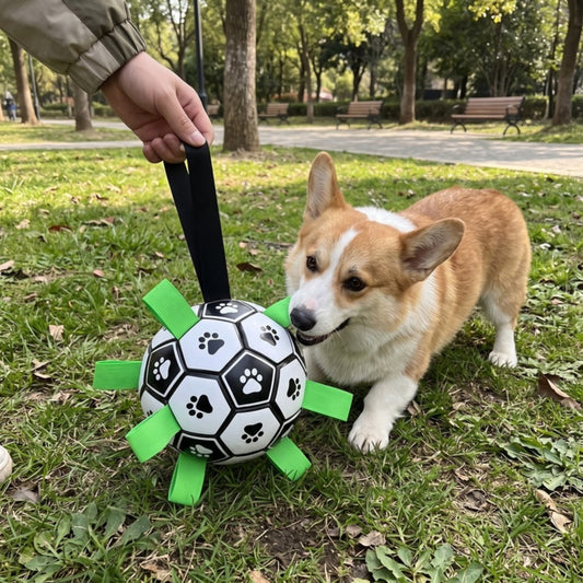 Woofidoo Bite Resistant Dog Ball