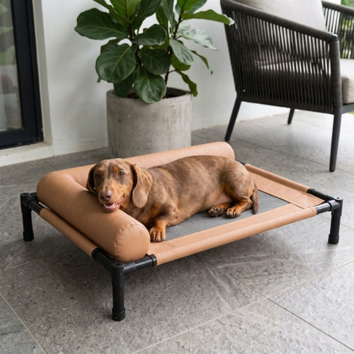 Woofidoo Elevated Dog Cot Bed
