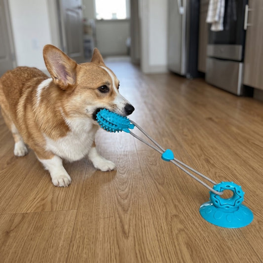 Woofidoo Anchor Suction Cup Dog Toy