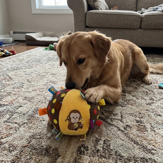 Woofidoo Plush Dog Toy with Bell