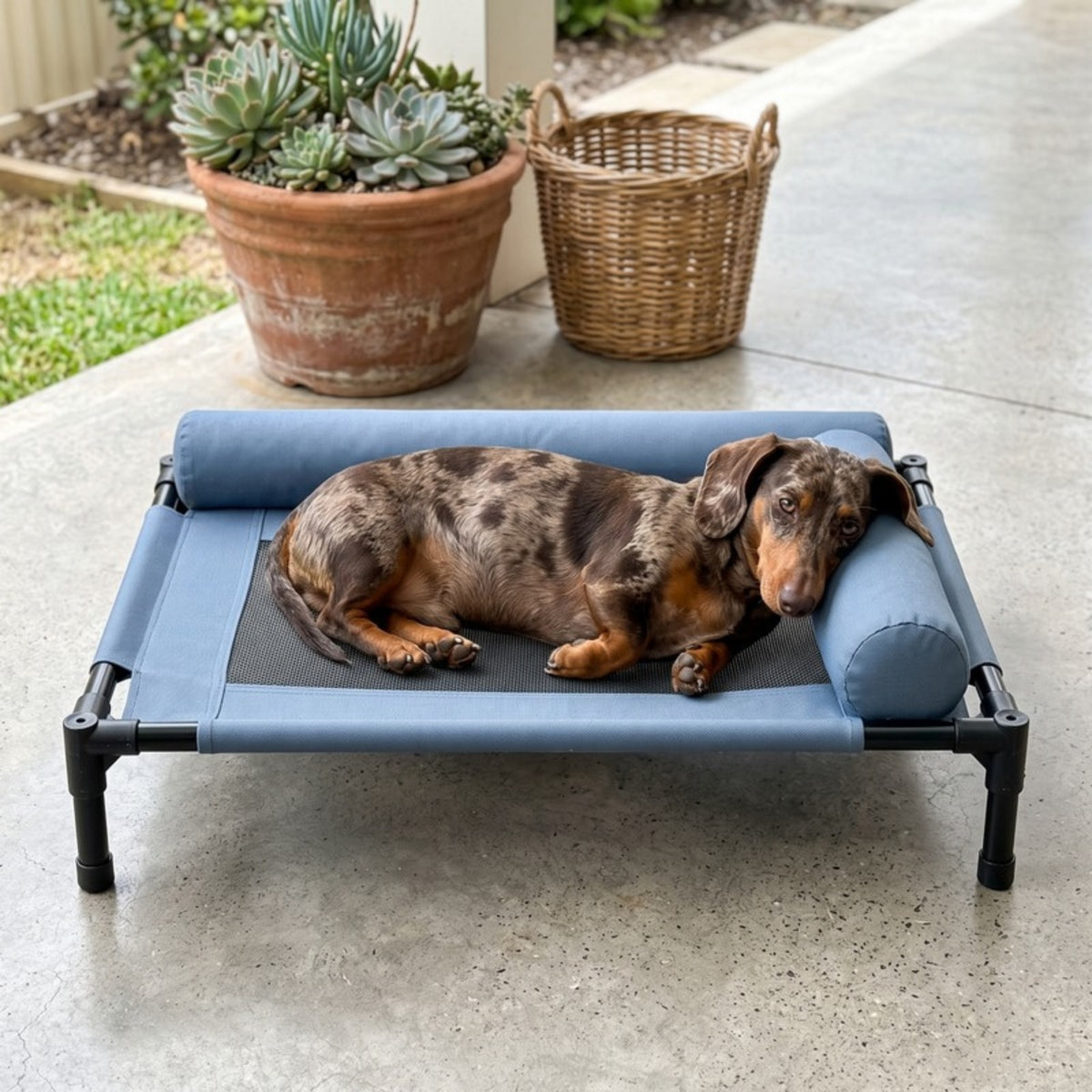 Woofidoo Elevated Dog Cot Bed