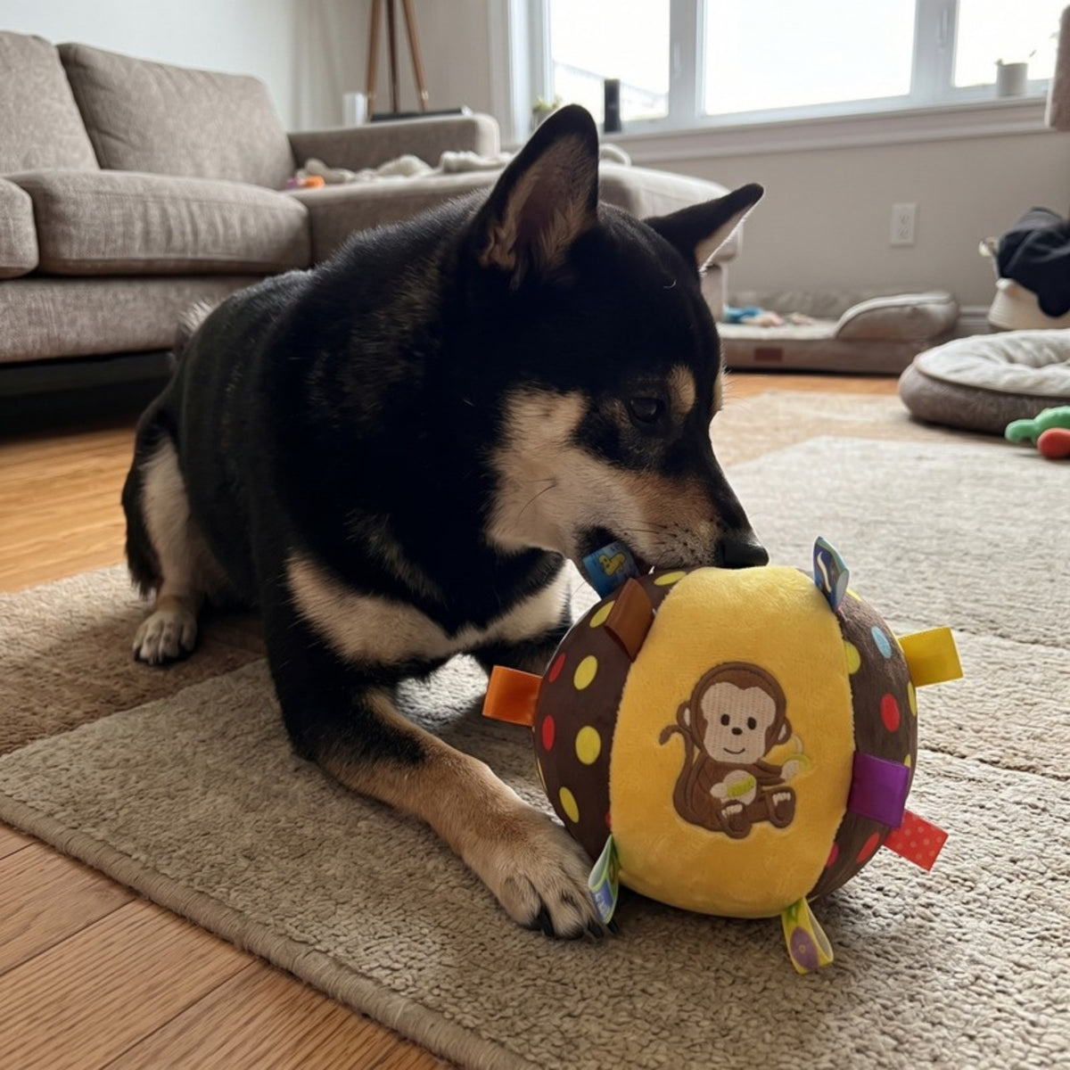 Woofidoo Plush Dog Toy with Bell