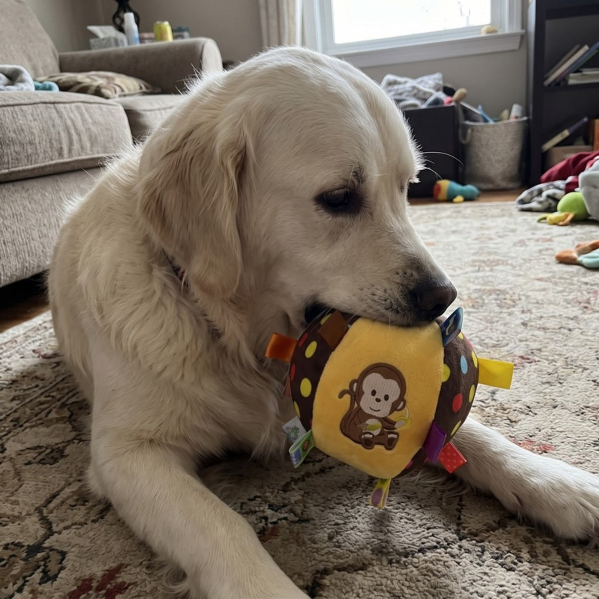 Woofidoo Plush Dog Toy with Bell