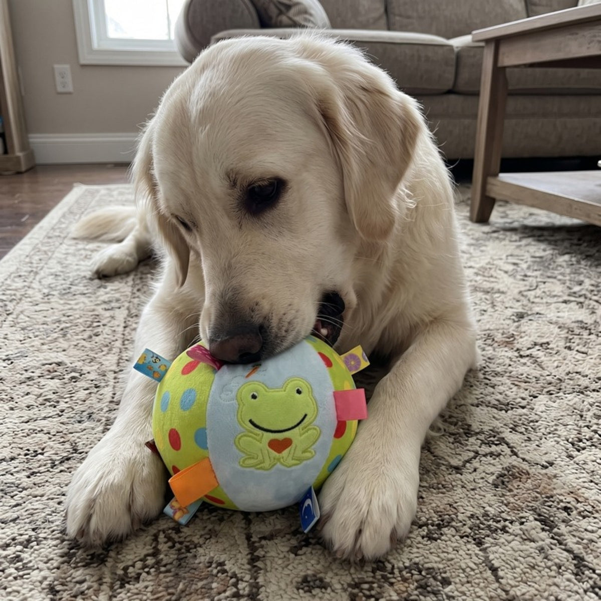 Woofidoo Plush Dog Toy with Bell
