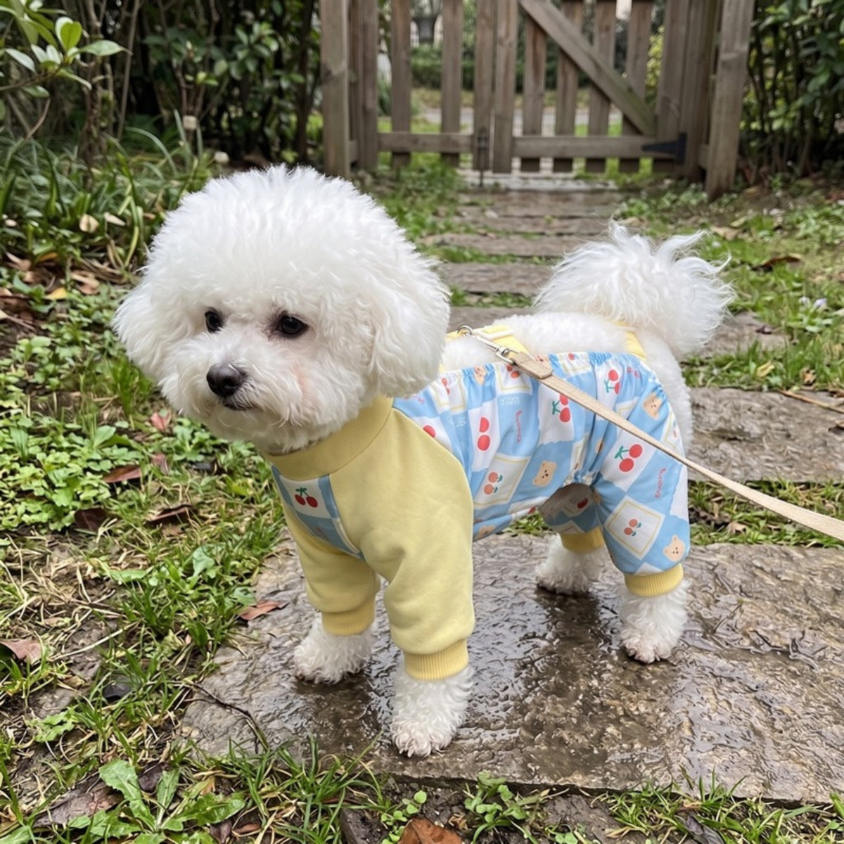Woofidoo Explorer Full Body Dog Suit
