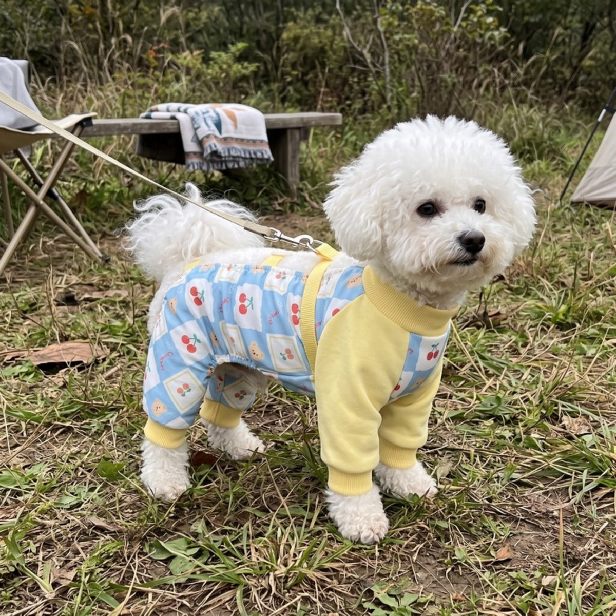 Woofidoo Explorer Full Body Dog Suit