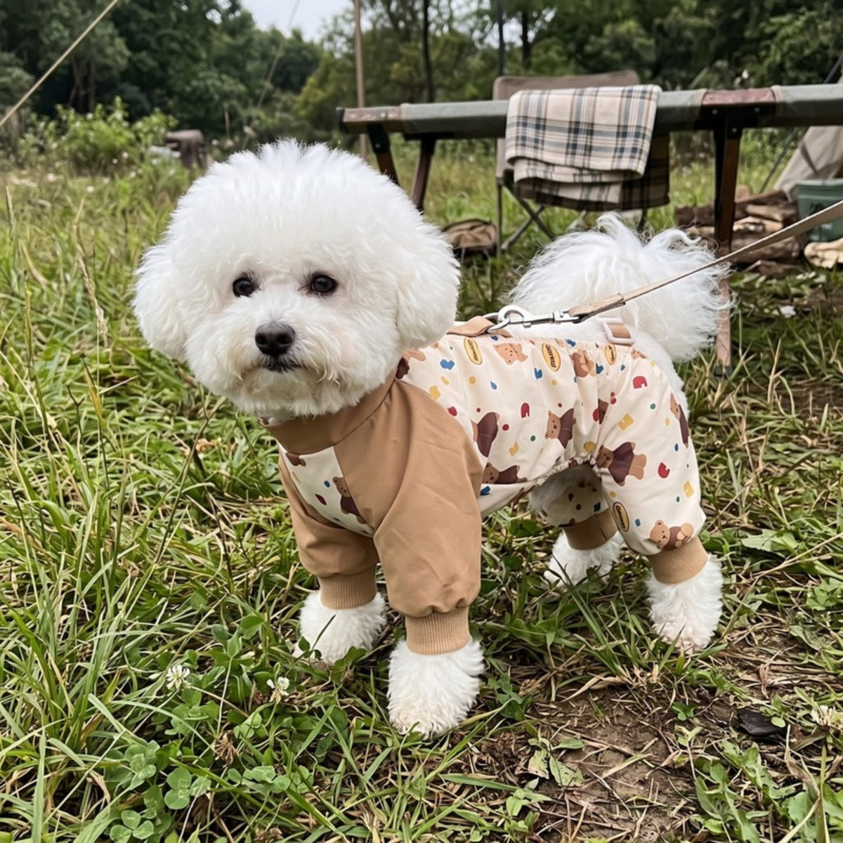 Woofidoo Explorer Full Body Dog Suit