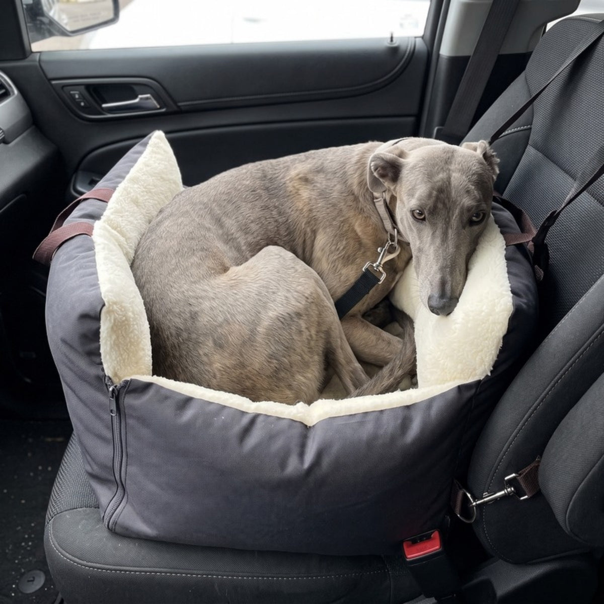 Woofidoo Dog Car Travel Bag