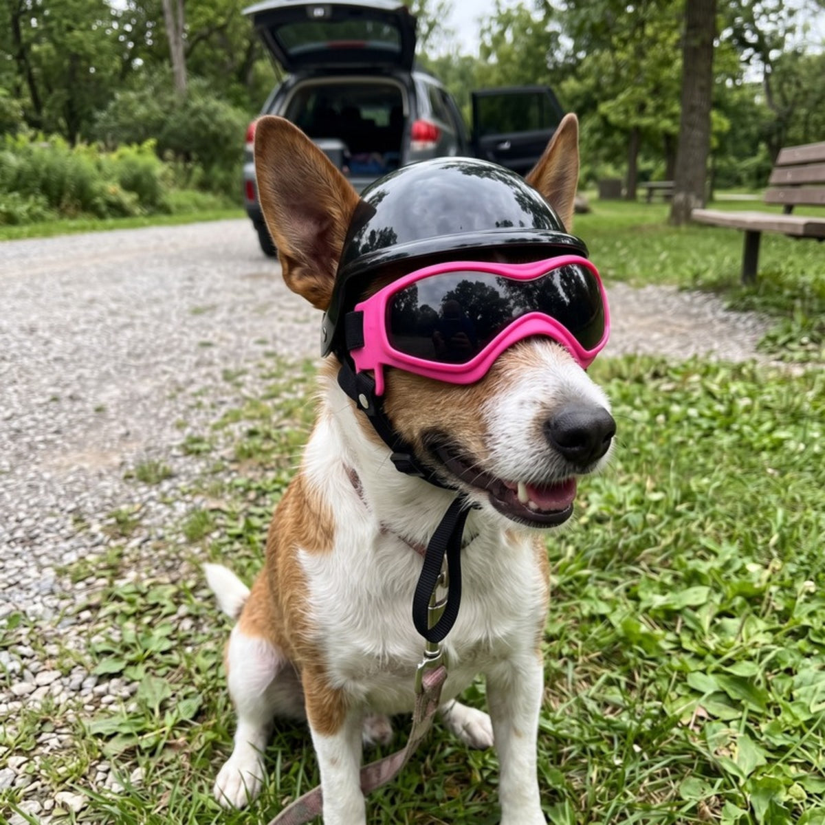 Woofidoo Dog Goggles and Helmet Set