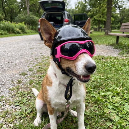 Woofidoo Dog Goggles and Helmet Set