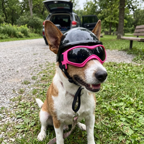 Woofidoo Dog Goggles and Helmet Set