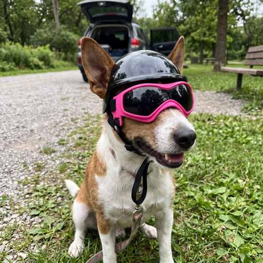 Woofidoo Dog Goggles and Helmet Set