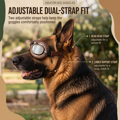 Woofidoo Aviator Dog Goggles