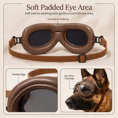 Woofidoo Aviator Dog Goggles