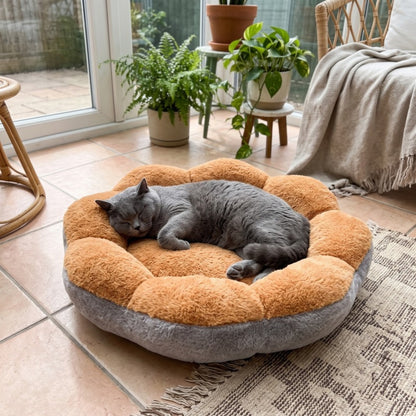 Woofidoo Blossom Flower Cat Bed