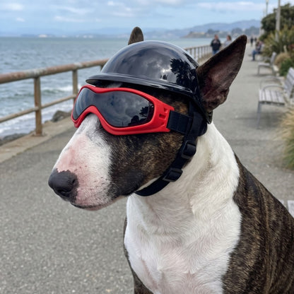Woofidoo Dog Goggles and Helmet Set