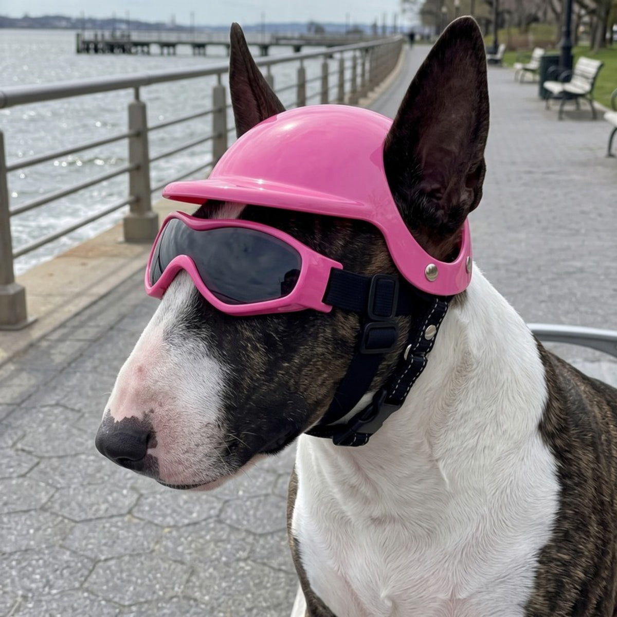 Woofidoo Dog Goggles and Helmet Set