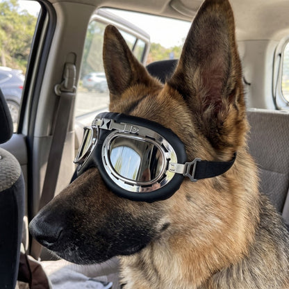 Woofidoo Aviator Dog Goggles