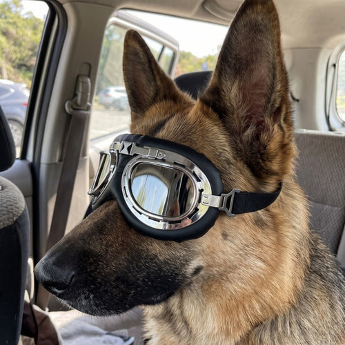 Woofidoo Aviator Dog Goggles
