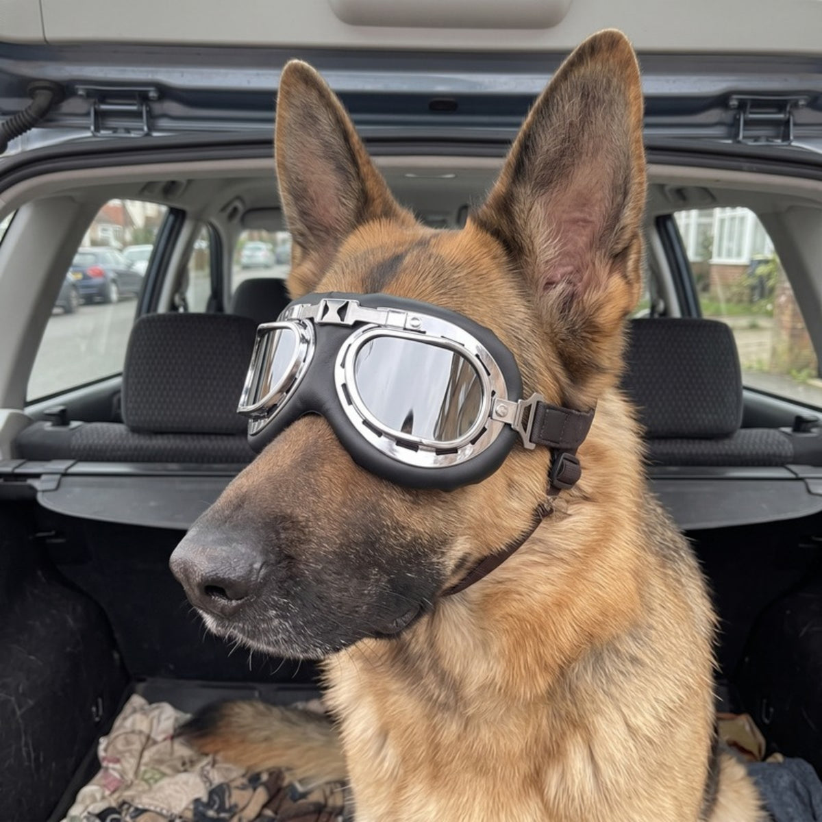Woofidoo Aviator Dog Goggles