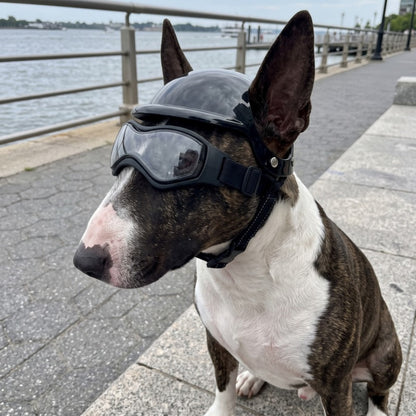 Woofidoo Dog Goggles and Helmet Set