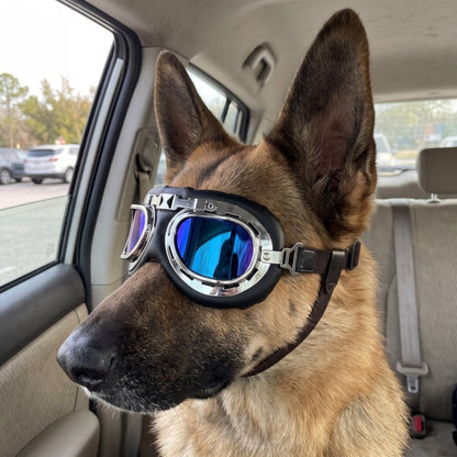 Woofidoo Aviator Dog Goggles