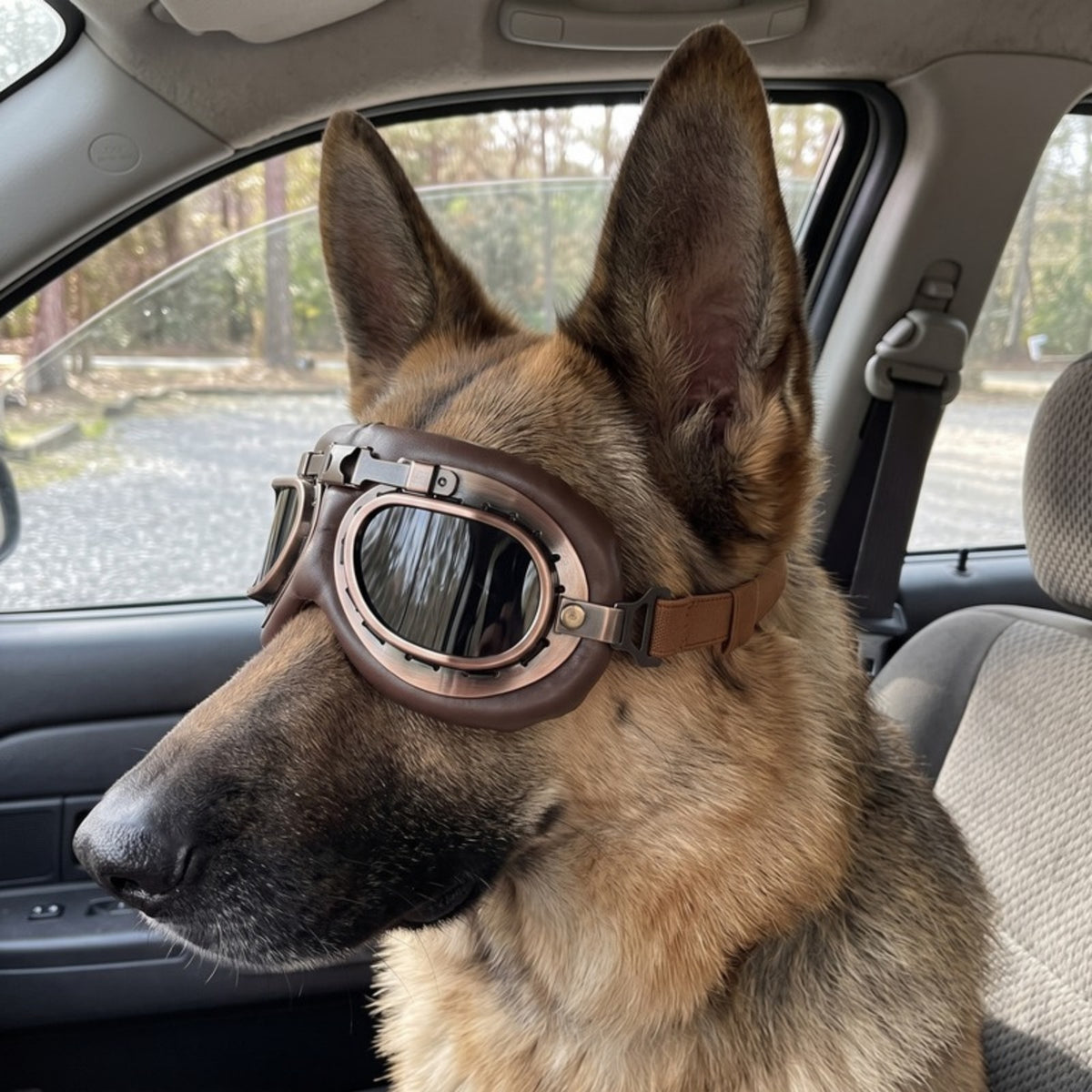 Woofidoo Aviator Dog Goggles