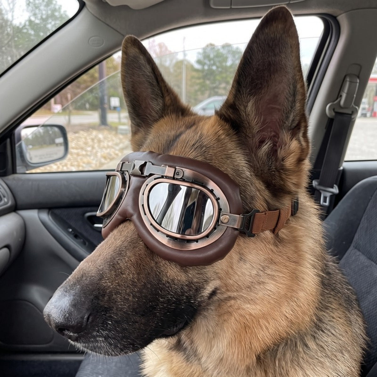Woofidoo Aviator Dog Goggles